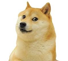chatdoge